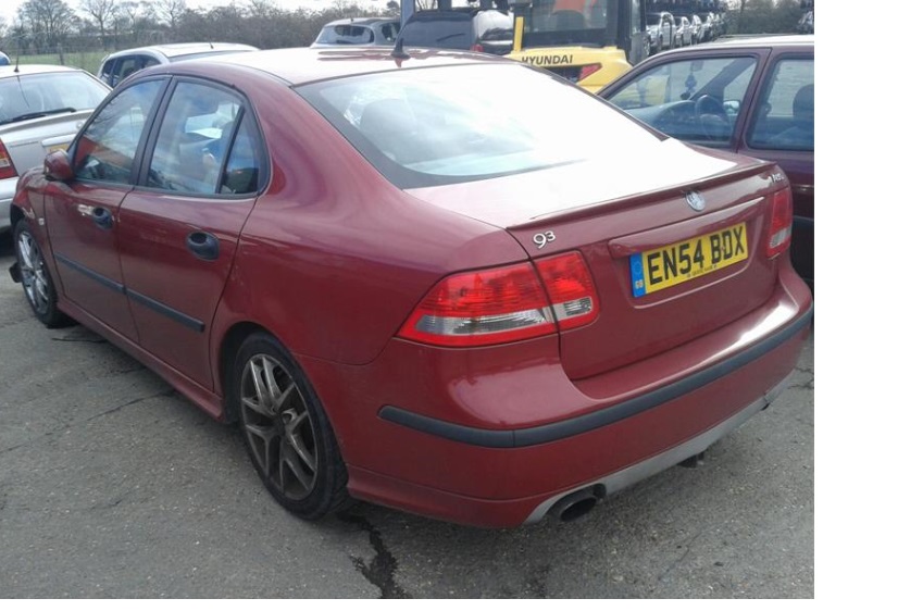 красный зад.jpg