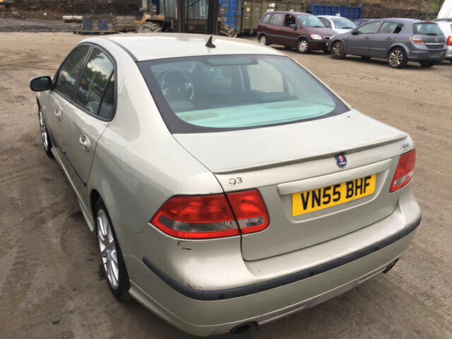 желтый зад.JPG